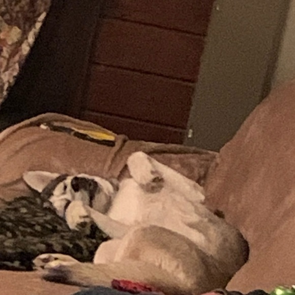 Meet your Posher, Miranda - Picture 8 of 12